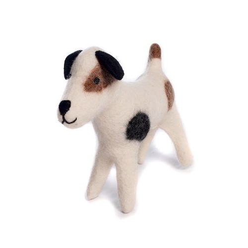 Jacque the Jack Russell Dog